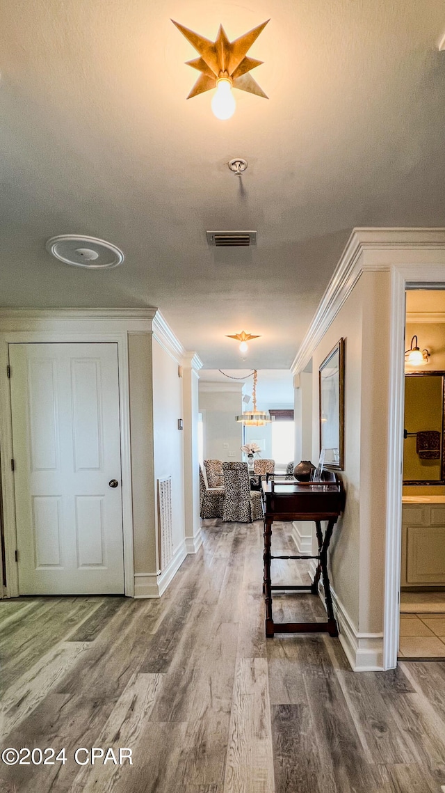 hallway featuring wood-type flooring, crown molding, and a textured ceiling