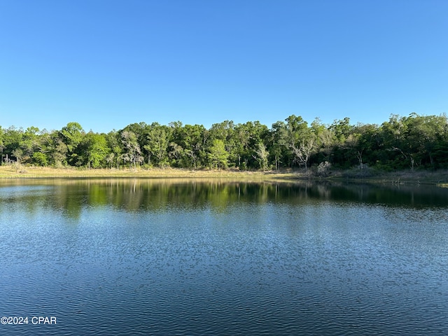 view of water feature