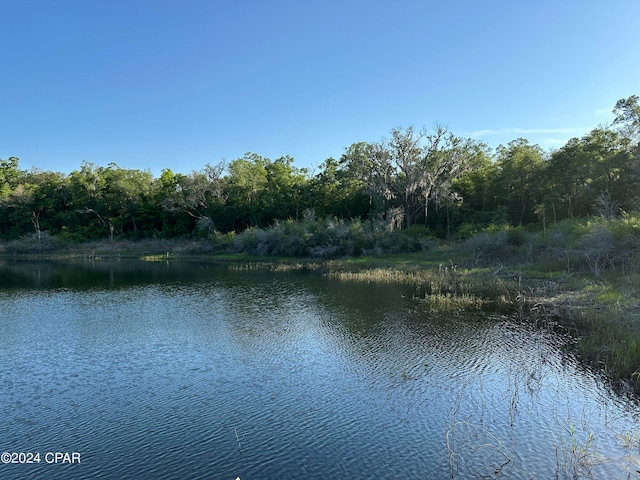 view of water feature