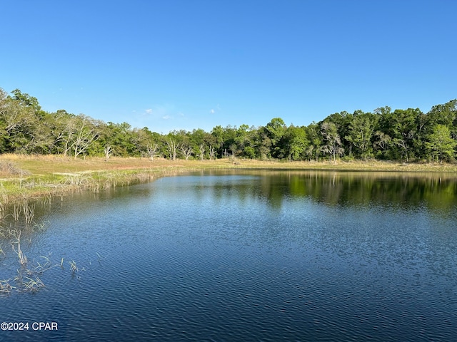 view of water feature