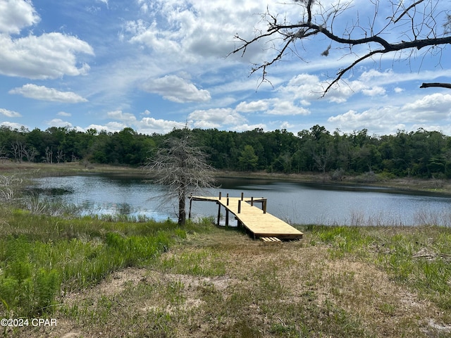 view of dock featuring a water view