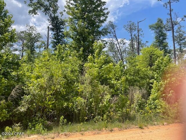 0 Grand Quiviera, Alford FL, 32420 land for sale