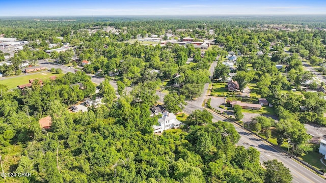 view of bird's eye view