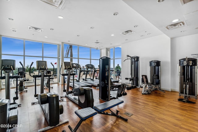 gym with wood-type flooring and expansive windows