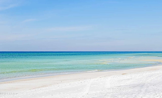 water view featuring a beach view