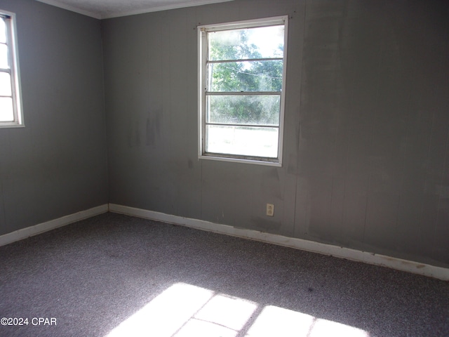 empty room featuring a wealth of natural light and carpet flooring