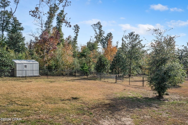 view of yard featuring a storage shed