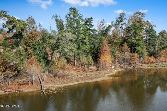 view of water feature