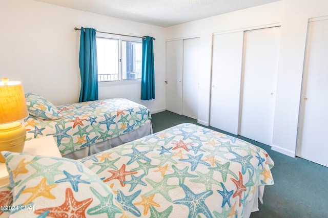 carpeted bedroom with multiple closets