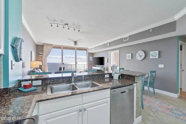 kitchen with crown molding, white cabinetry, rail lighting, sink, and stainless steel dishwasher