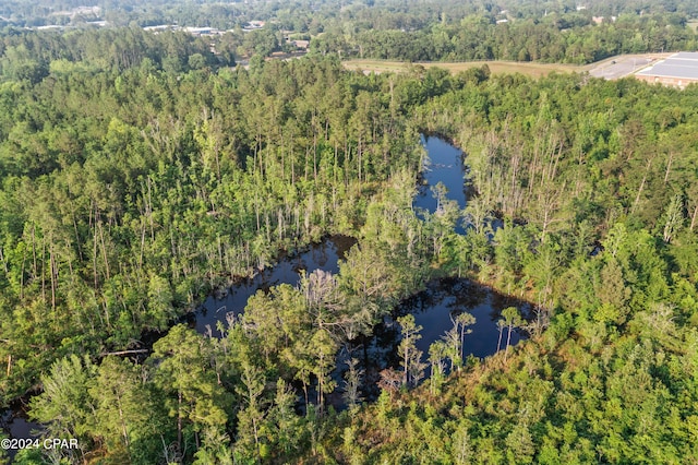 Listing photo 3 for XXX Kirkland Rd Lot 3, Chipley FL 32428