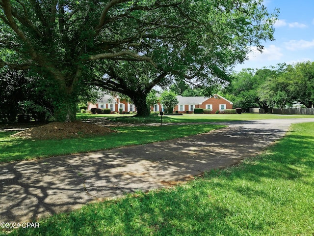 view of front of house with a front yard