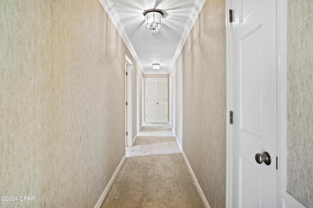 hall with light colored carpet and ornamental molding