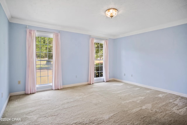 carpeted spare room featuring plenty of natural light and crown molding