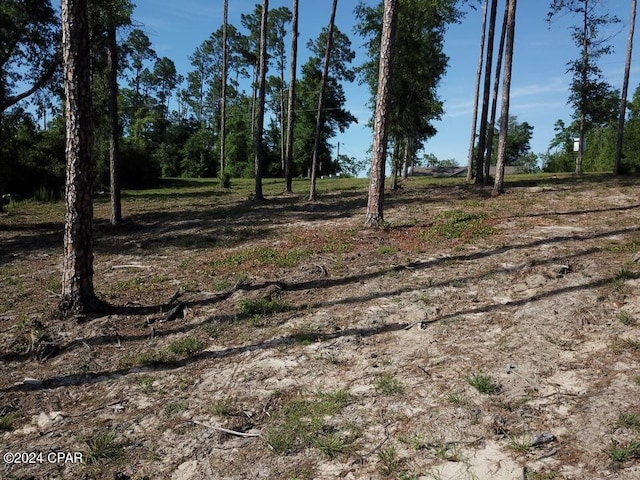 TBD Vancouver Dr, Alford FL, 32420 land for sale