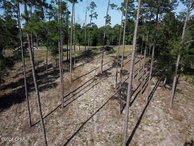 Listing photo 2 for TBD Vancouver Dr, Alford FL 32420