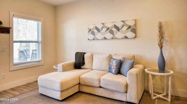 living area with wood-type flooring