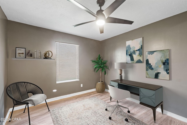 office space featuring light hardwood / wood-style floors, a textured ceiling, and ceiling fan