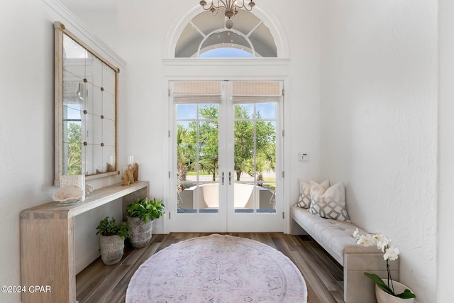 doorway featuring a healthy amount of sunlight, hardwood / wood-style floors, and french doors