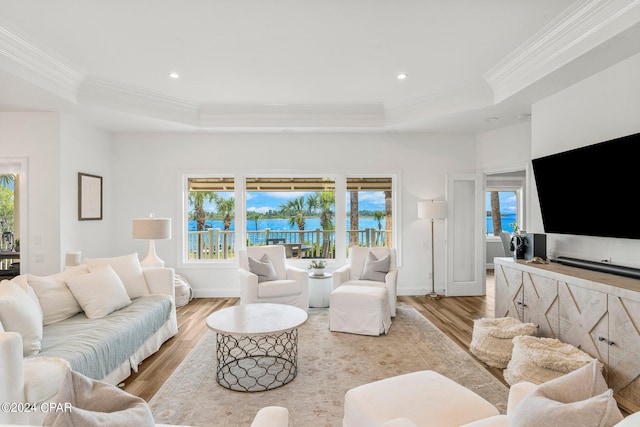 living room with hardwood / wood-style floors, a raised ceiling, and crown molding