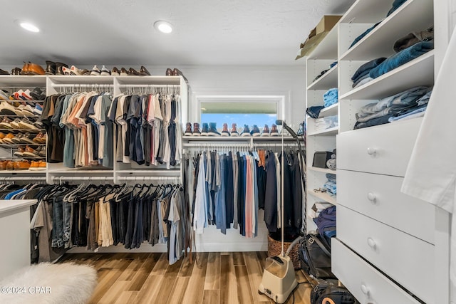 walk in closet with wood-type flooring