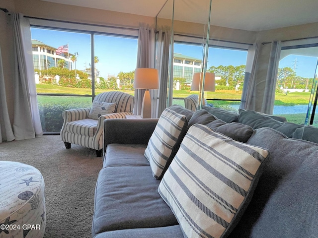 living room with carpet