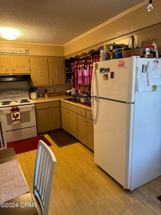 kitchen featuring light wood-type flooring, ventilation hood, a textured ceiling, and white appliances