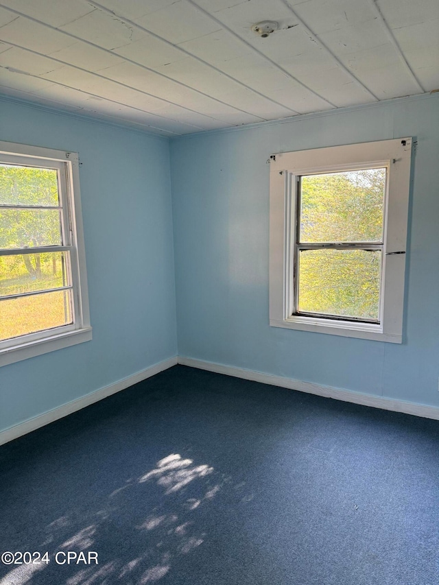 view of carpeted spare room