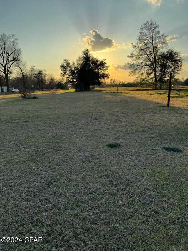 view of yard at dusk