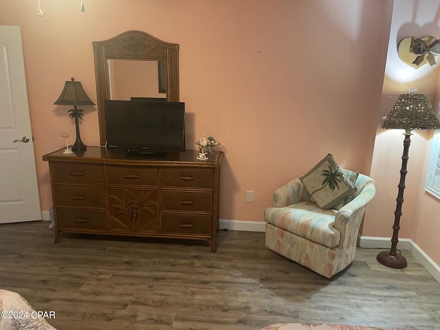 sitting room featuring dark hardwood / wood-style flooring