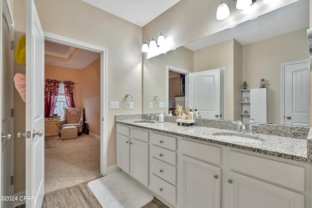 bathroom with a tray ceiling, hardwood / wood-style floors, and double vanity