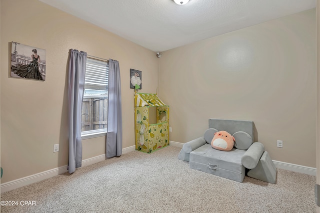 sitting room featuring a textured ceiling and carpet floors