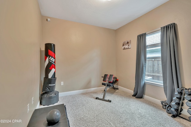 workout room with carpet floors