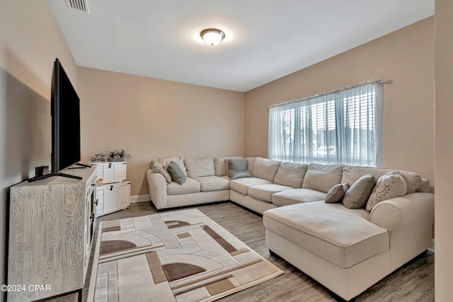 living room with hardwood / wood-style flooring