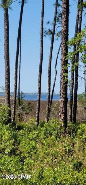 Listing photo 3 for 911 Flagler Dr, Panama City FL 32404