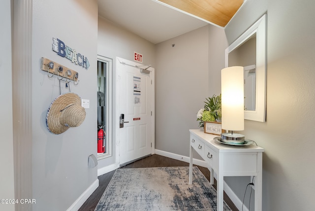 entrance foyer featuring dark hardwood / wood-style floors