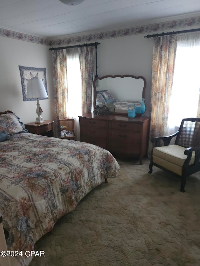 carpeted bedroom with multiple windows