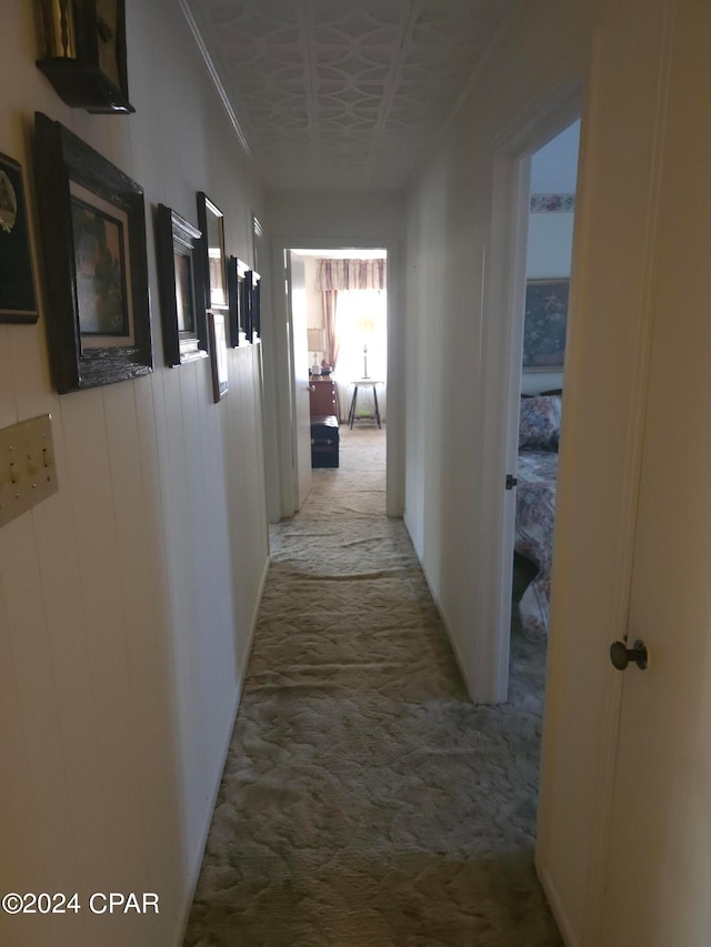 hallway with ornamental molding and carpet flooring