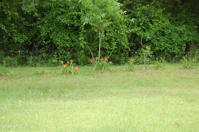 view of nature