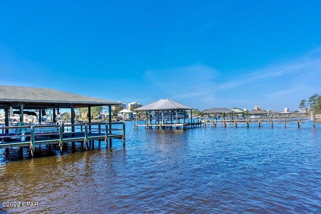 dock area with a water view