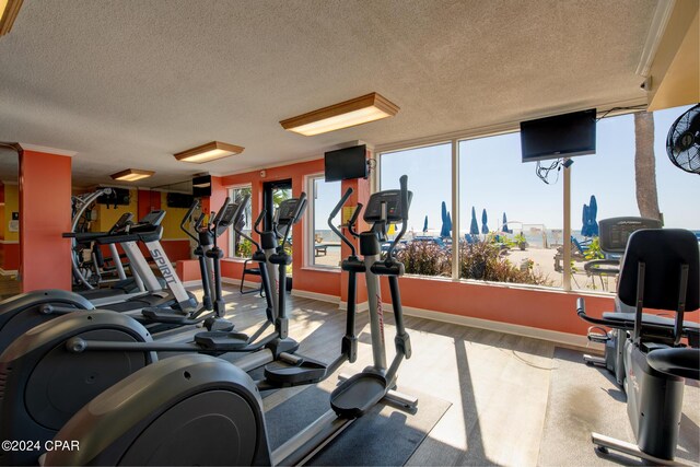 exercise room with a textured ceiling and hardwood / wood-style flooring