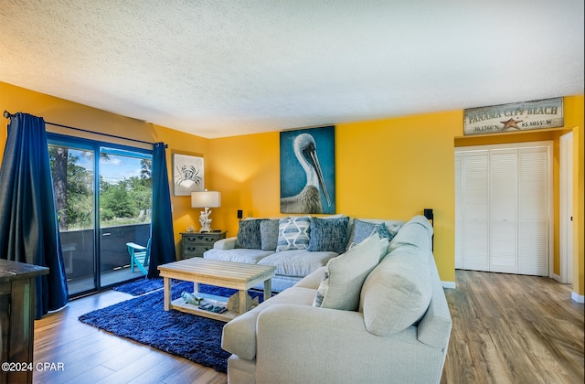 living room with a textured ceiling and wood-type flooring