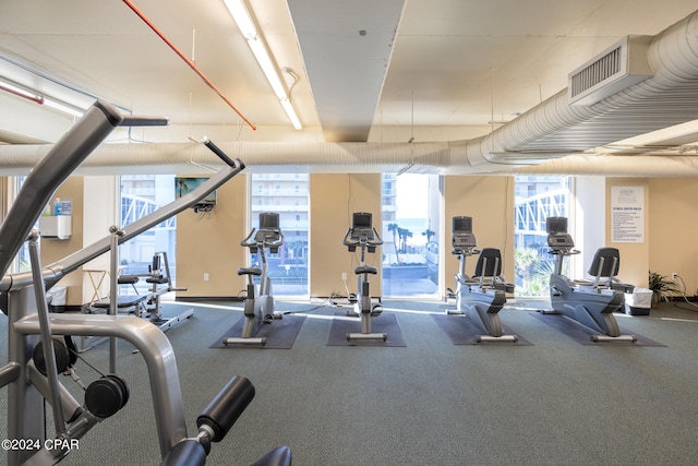 gym featuring carpet floors