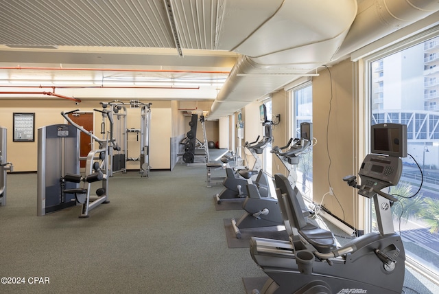 exercise room featuring carpet