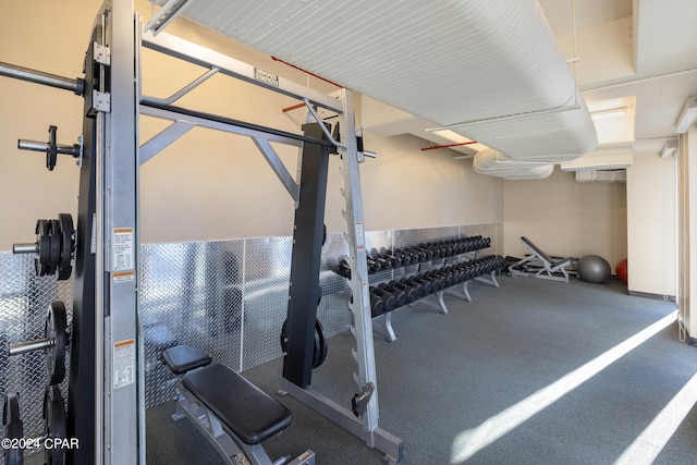 exercise room featuring carpet