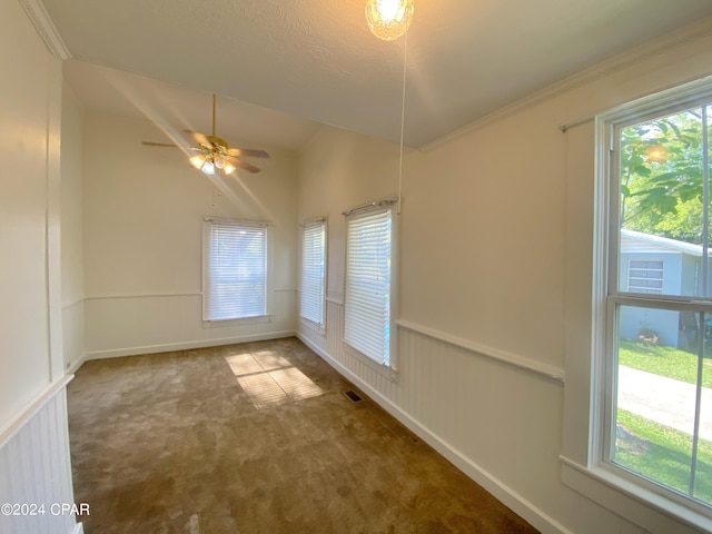 empty room featuring ceiling fan, plenty of natural light, and carpet