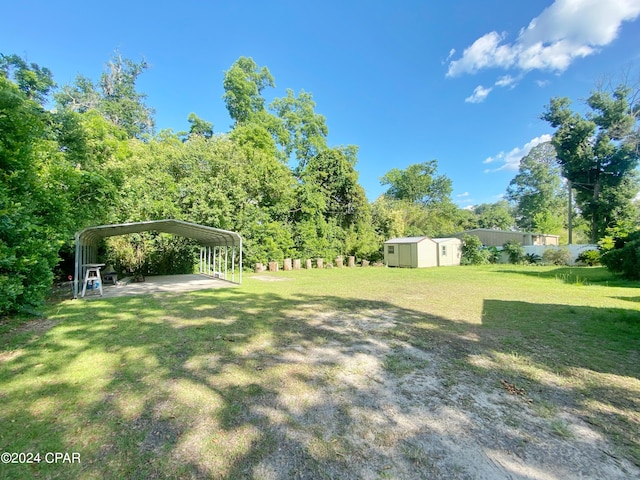 view of yard with a shed and a carport