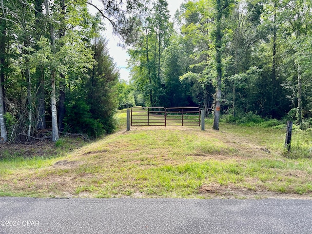 Listing photo 2 for 87AC Hwy 179, Bonifay FL 32425