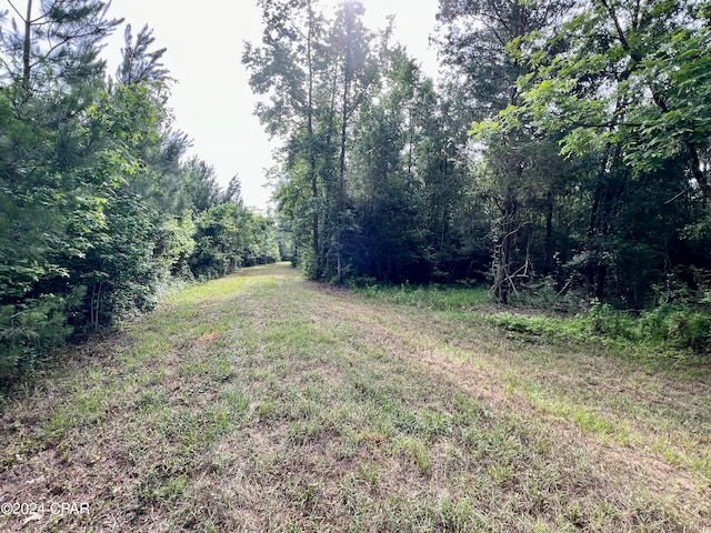 Listing photo 3 for 87AC Hwy 179, Bonifay FL 32425