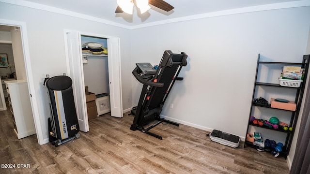 exercise area with ceiling fan, wood-type flooring, and crown molding